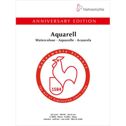 Bloc aquarelle édition anniversaire 425g/m2 15feuilles 24x32cm - Hahnemühle