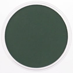 PANPASTEL 9ml Permanent Green Extra Dark