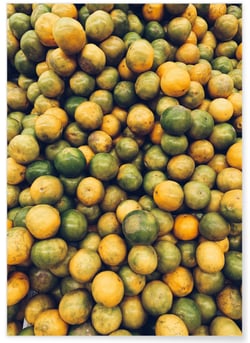 Poster Nature Fruits | A3 : 29,7x42cm
