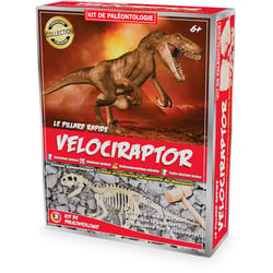 Kit Paleo - Vélociraptor - Ulysse