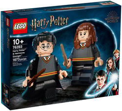 LEGO Harry Potter - Harry potter et hermione granger 76393