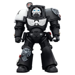 Warhammer 40k - Figurine Raven Guard Terminator 1 with Power Sword and Storm Bolter 14 cm - Joy Toy (CN)