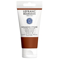 Gouache - Etude - Terre Sienne - 481 - Lefranc Bourgeois - Studio Gouache - 80ml