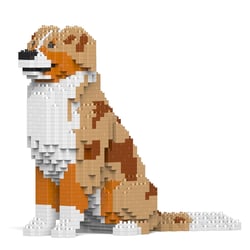 Chien Berger Australien rouge merle Taille standard | JEKCA | 14 ans et +