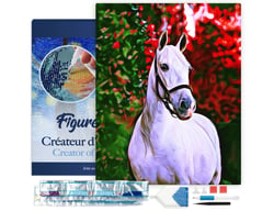 Diamond Painting Broderie Diamant Figured’Art 40x50cm toile tendue sur châssis en bois - diamants carrés - Cheval et fond coloré
