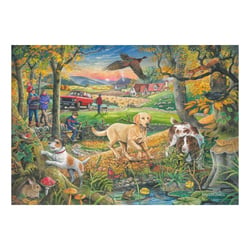 Puzzle 500 pièces - Pièces XXL - Attrape-Moi Si Tu Peux - HOP - House of Puzzles
