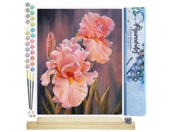 Peinture par Numéro Figured'Art - Iris rosé - Kit de Loisir Créatif DIY Numéro d'Art Complet - 40x50cm toile roulée + châssis en bois à monter