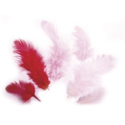 Mélange de plumes, Teintes rouges, 3 - 10 cm, 10 g