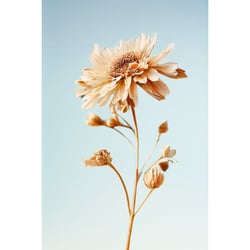 Tableau sur toile fleur 30x45 cm