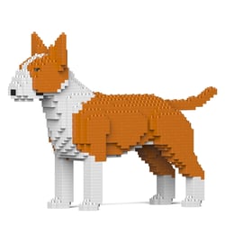 Chien Bull Terrier roux Taille standard | JEKCA | 14 ans et +