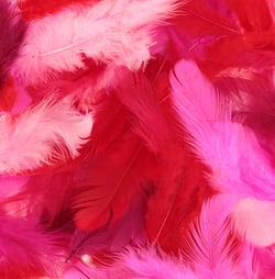 Plumes colorées 10 gr rouge - Artemio