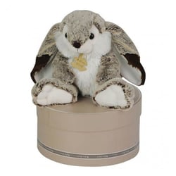 Lapin Marius 30cm avec boite - Histoire D'Ours