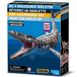 Déterre-Ton-Dino - Mosasaurus