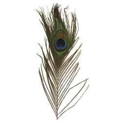 Plume de paon, 25 cm, 3 pces