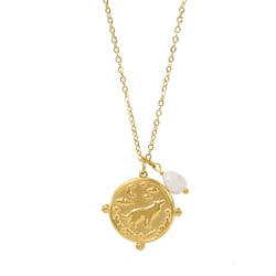 Collier Totem Le Loup - Omsaé