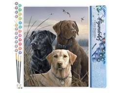 Peinture par Numéro Figured'Art - Trio de labrador - Kit de Loisir Créatif DIY Numéro d'Art Complet - 40x50cm sans châssis en bois