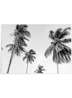 Affiche Palm Trees 8 | A3 : 29,7x42cm