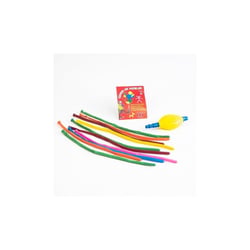 10 ballons à modeler avec pompe