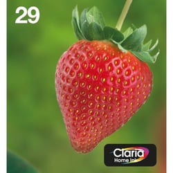 EPSON Multipack EasyMail T2986 - Fraise - Noir, Cyan, Jaune, Magenta (C13T29864511)