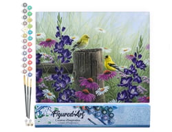 Peinture par Numéro Figured'Art - Couple de chardonneret - Kit de Loisir Créatif DIY Numéro d'Art Complet - 40x50cm sans châssis en bois