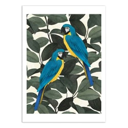 Affiche 30x40 cm - Parrots and jungle - El Buen Limon