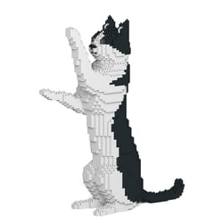 Chat Calico noir debout | JEKCA | 14 ans et +