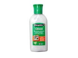 Colle mosaïque intérieure pixel art Cléopatre Cléocol Tilipix 100gr