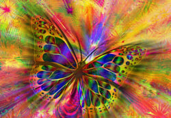 Puzzle 1000 pièces - Colorful Butterfly - Bluebird Puzzle