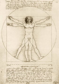 Puzzle 1000 pièces - Leonard De Classiqueci - The Vitruvian Man, 1490 - Bluebird Puzzle