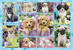 Puzzle 200 pièces - Chiots - Schmidt Spiele