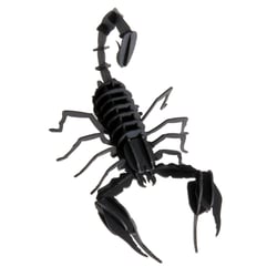Maquette 3D en papier Scorpion - Fridolin