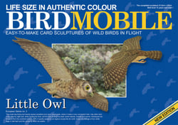 Birdmobile Chevêche d'Athéna