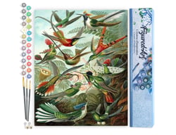 Peinture par Numéro Figured'Art - Tous les oiseaux - Kit de Loisir Créatif DIY Numéro d'Art Complet - 40x50cm sans châssis en bois
