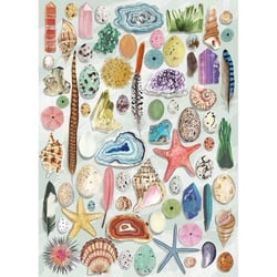 Puzzle 1000 pièces Gibsons Natural Curiosities