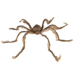 Araignée avec ventouse - 60cm