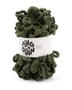 PINGO COOL