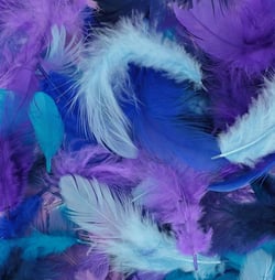 Plumes colorées 10 gr bleu - Artemio