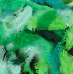 Plumes colorées 10 gr vert - Artemio