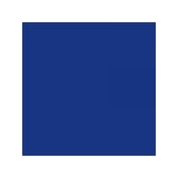 Marqueur Permanent - Marking Onyx 1591 Pointe biseau - Bleu - Bic