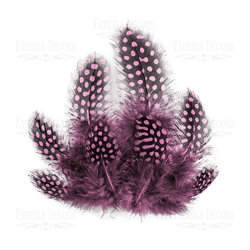 Plumes embelissement décoration scrapbooking Fabrika Décoru ROSE 040