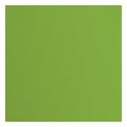 Papier cartonné texturé Florence - Frog - 20 feuilles - 30,5 x 30,5 cm - 216 g/m²