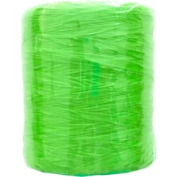 Graine Créative - Raphia synthétique Vert vif 40 g