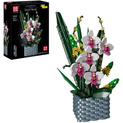 Bouquet d'orchidées