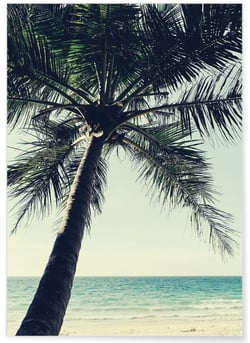 Poster Nature Palmier plage | A3 : 29,7x42cm