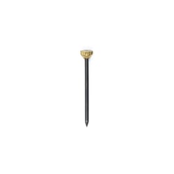 Lot de 50 aiguilles de fixation