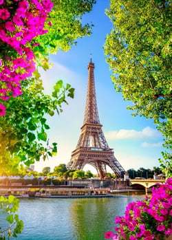 Puzzle 500 pièces - Tour Eiffel au Printemps - Bluebird Puzzle
