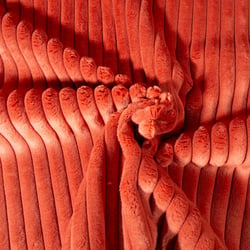 Tissu Doudou côtelé d'ameublement 15 mm uni Terracotta