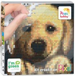 Kit créatif Pixel tableau 12x12cm Chien