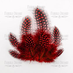 Plumes embelissement décoration scrapbooking Fabrika Décoru ROUGE 013