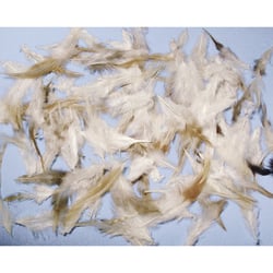 Mélange de plumes, Cocktail, 6 - 15 cm, 10 g